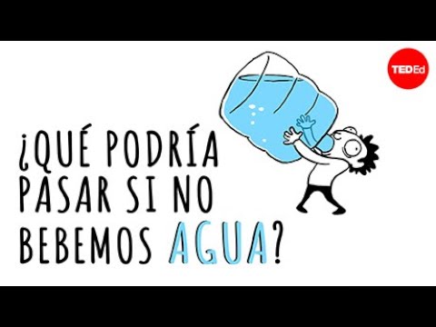 ¿Qué pasa si no tomamos agua? - Mia Nacamulli
