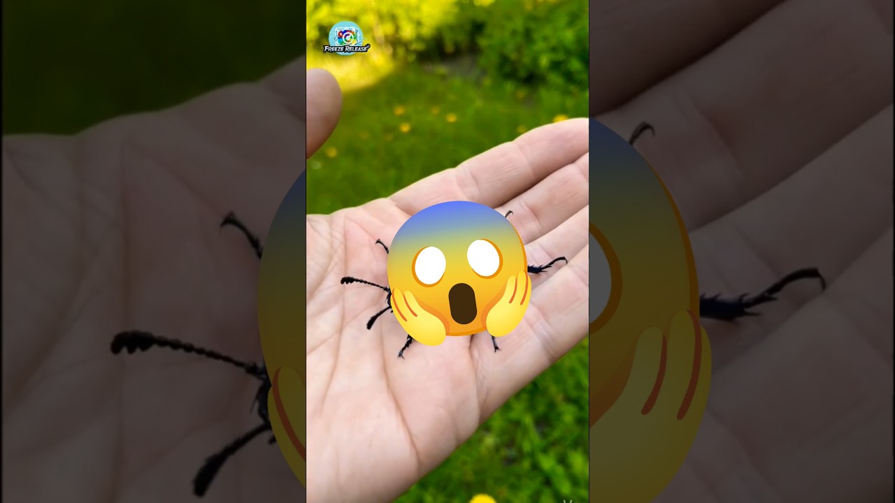 Jewel of the Meadow: Iridescent Blue Beetle #Shorts #shortfeed