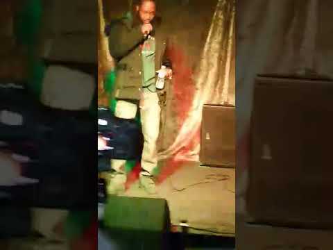 KingYQ , Killa Mikk, South Black performance on Antigua meets Jamaica - #welldaz #yq