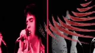 Love Song Of The Year - Elvis Presley