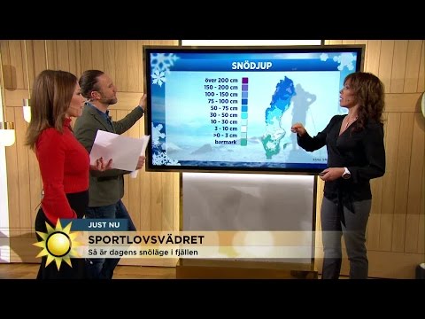Vinterväder i fjällen - Nyhetsmorgon (TV4)