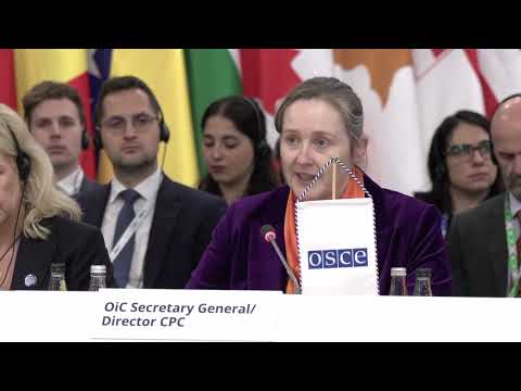 Organization for Security and Co-operation in Europe (OSCE)