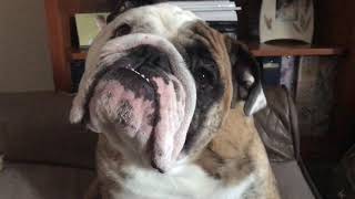 He patiently waits for the magic words