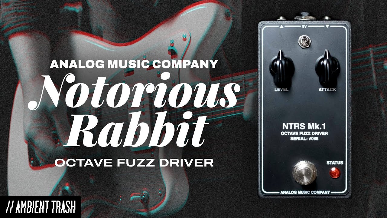 NOTORIOUS RABBIT DEMO BY AMBIENT TRASH thumbnail