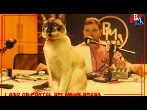 Mega News 22 de janeiro de 2020