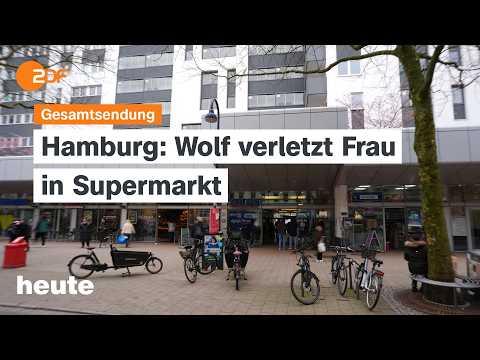 Video Thumbnail: heute 19:00 vom 31.03.2026: Wolf in Hamburg, Ölpreis-Krise und Klimawandel
