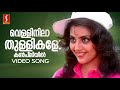 Vellinilaa Thullikalo Video Song Mohanlal Vidyasagar Gireesh Puthenchery KS Chithra MG Sreekumar