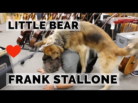 Frank Stallone and his lover Little Bear at Norman's Rare Guitars