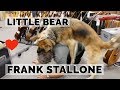 Frank Stallone and his lover Little Bear at Norman's Rare Guitars