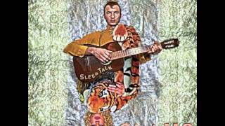 shannon and the clams - the woodsman