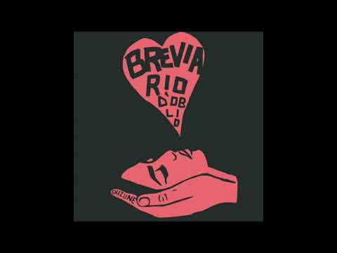 shizune - Breviario d'oblio