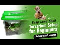 Easy Land Snail Terrarium Setup for Beginners: Creating a Miniature Paradise in less than 5 minutes