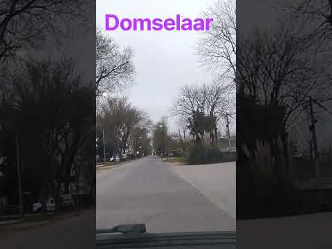 Domselaar, San Vicente, Buenos Aires.