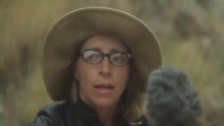 Laura Veirs - "Wide-Eyed, Legless" - Music For Wild Places