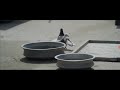Parava Full Movie
