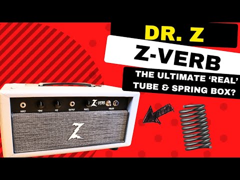 Immagine Dr. Z Z-Verb Standalone All-Tube Spring Reverb Tank 2011 - White Tolex / Blue Flame Maple Valance - 11