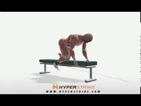 Exercise Videos- Cable Bent-Over Hip Extension -- Bench