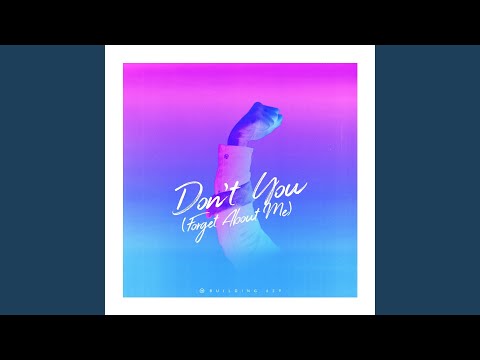 Don't You (Forget About Me)