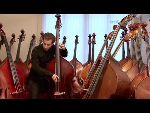 Georg Pianzola - Bern, Kontrabass Tonabnehmer Saiten Kontrabasshülle