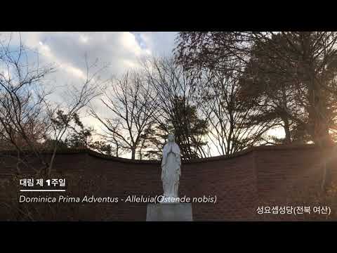 대림 제 1주 그레고리안 성가 - Dominica prima Adventus, Gregorian chant