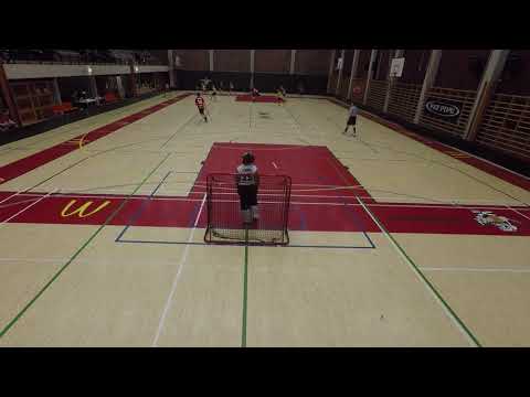 2018-01 Kouvola ylempi jatkosarja: Welhot Stars Sudet 7-4 voitto