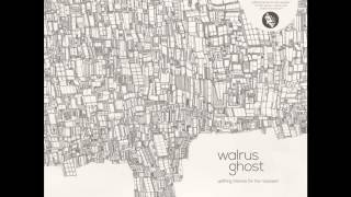 Walrus Ghost 'Narrowing Circle' (Uplifting Themes For the Naysayer LP - Project: Mooncircle, 2014)