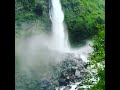 Phir Kabhi ßirthi Fall Munsiyari U K Shorts