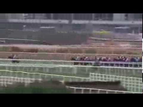 2013.09.15 Stockholm Cup International - Without Fear