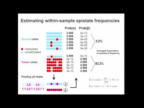 Recurrent Epistates Define Tumor Methylome Differences - Huy Dinh