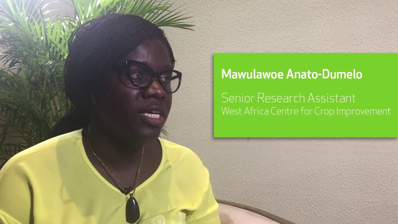 How can we help Africa's smallholder farmers?