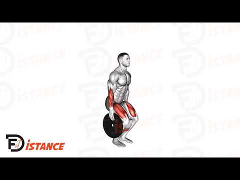 Exercice Pincement de disque