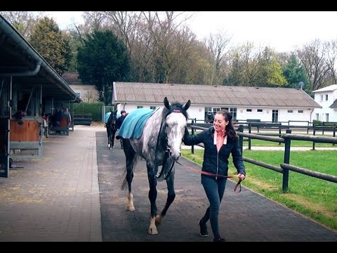 Julis Eventer zu Besuch im Rennstall Asterblüte – „Galopper des Jahres 2020