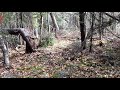 robert badine my trail