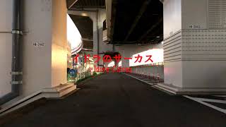 [Azur] イドラのサーカス 踊ってみた [Riku√ 月咲紅葉]