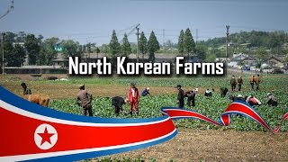 preview picture of video 'North Korean Farms (May 2014)'