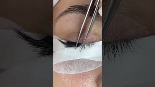 Eyelash Extension - L curl