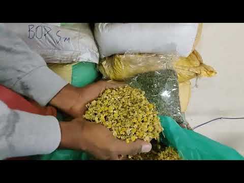 India brown dried chamomile flowers: premium quality for b2b...