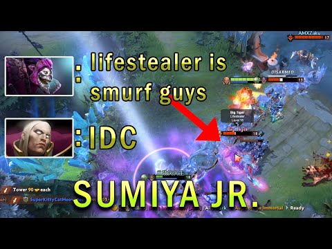 Sumiya Jr. Invoker Destroys Smurfing Lifestealer | Dota 2 Gameplay