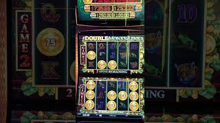 BIG WIN! ➡$4/BET BONUS on Double Money Link! #shorts #casino #slots