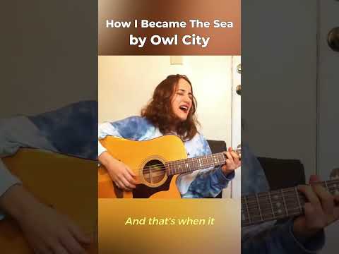 How I Became The Sea - Owl City