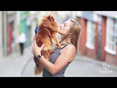 Hopevet
