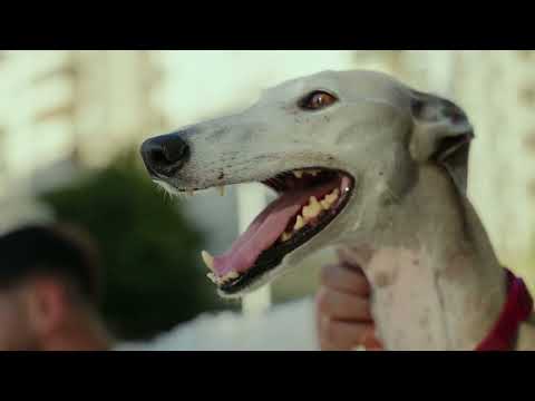 Blunted Vato - Runtz (Video Oficial)