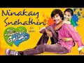 Ninakkai Snehathin Song Lyrics Ith Nammude Lokam Vineeth Sreenivasan Malayalam Song