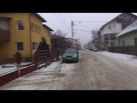 Reportajul plimbarii prin Vatra Dornei - Despre caini - 05.01.2013