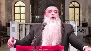 באיזה בית כנסת מותר להתפלל? חובה! #הרב_רפאל_זר (הרב רפאל זר) - התמונה מוצגת ישירות מתוך אתר האינטרנט יוטיוב. זכויות היוצרים בתמונה שייכות ליוצרה. קישור קרדיט למקור התוכן נמצא בתוך דף הסרטון