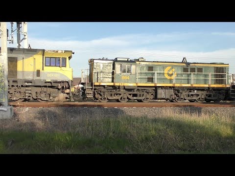 Former ANR 830 Class Locomotives 864 & 872 at Airport West - Australian Trainspotting