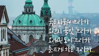 헤르쯔 아날로그(Herz Analog) - 프라하 (Praha)