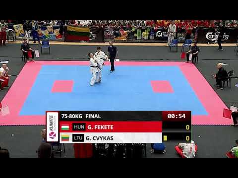 KO Gergely Fekete - EKO European Championship (WKO)