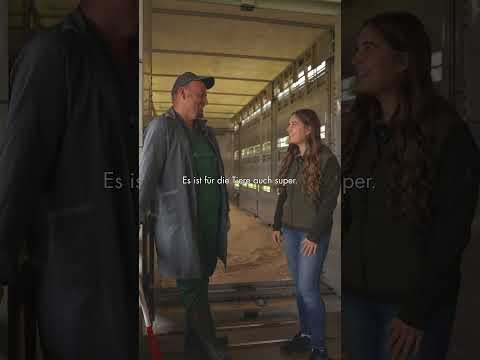 Was ist ein Reixerl?