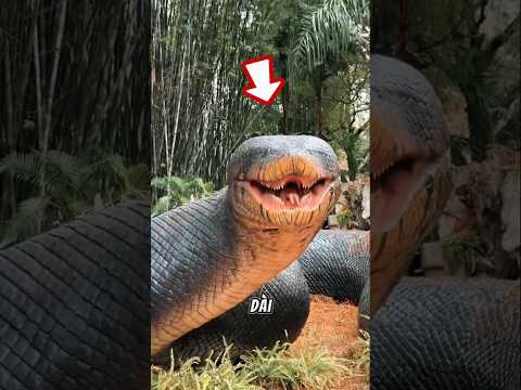 WHAT TO DO TO SURVIVE WHEN ENCOUNTERING A GIANT SNAKE #shorts